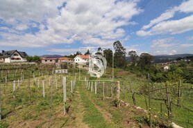 Quinta T3 - Remo�es, Melga�o, Viana do Castelo - Miniatura: 23/29