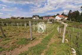 Quinta T3 - Remo�es, Melga�o, Viana do Castelo - Miniatura: 24/29