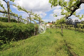 Quinta T3 - Remo�es, Melga�o, Viana do Castelo - Miniatura: 25/29