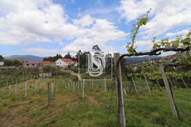 Quinta T3 - Remo�es, Melga�o, Viana do Castelo - Miniatura: 26/29