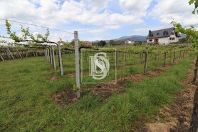 Quinta T3 - Remo�es, Melga�o, Viana do Castelo - Miniatura: 27/29