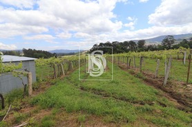 Quinta T3 - Remo�es, Melga�o, Viana do Castelo - Miniatura: 28/29