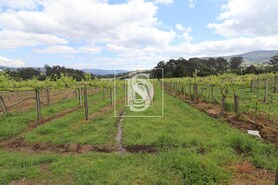 Quinta T3 - Remo�es, Melga�o, Viana do Castelo - Miniatura: 29/29