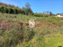 Terreno Rstico T0 - Gamil, Barcelos, Braga - Miniatura: 1/6