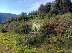Terreno Rstico T0 - Gamil, Barcelos, Braga - Miniatura: 4/6