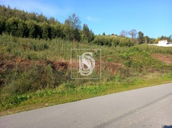 Terreno Rstico T0 - Gamil, Barcelos, Braga - Miniatura: 6/6
