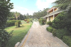 Moradia T4 - Abade de Neiva, Barcelos, Braga - Miniatura: 2/20