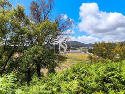 Terreno Rstico T0 - Abade de Neiva, Barcelos, Braga - Miniatura: 4/27