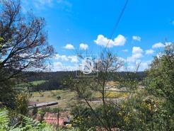 Terreno Rstico T0 - Abade de Neiva, Barcelos, Braga - Miniatura: 22/27
