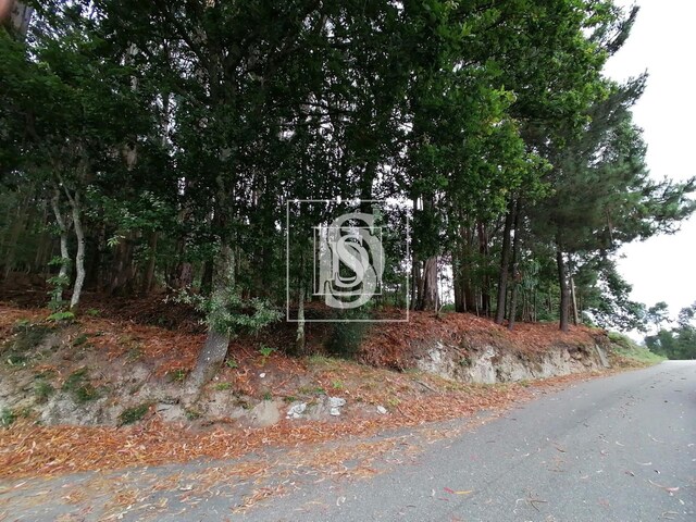 Terreno Rstico T0 - Candemil, Vila Nova de Cerveira, Viana do Castelo - Imagem grande