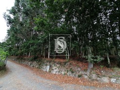 Terreno Rstico T0 - Candemil, Vila Nova de Cerveira, Viana do Castelo - Miniatura: 1/3