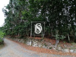 Terreno Rstico T0 - Candemil, Vila Nova de Cerveira, Viana do Castelo - Miniatura: 3/3