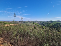 Terreno R�stico - Tavira, Tavira, Faro (Algarve)