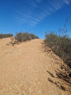 Terreno R�stico - Tavira, Tavira, Faro (Algarve) - Miniatura: 2/9