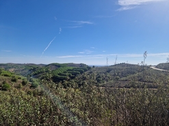 Terreno R�stico - Tavira, Tavira, Faro (Algarve) - Miniatura: 3/9