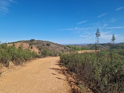 Terreno R�stico - Tavira, Tavira, Faro (Algarve) - Miniatura: 6/9
