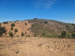 Terreno R�stico - Tavira, Tavira, Faro (Algarve) - Miniatura: 7/9