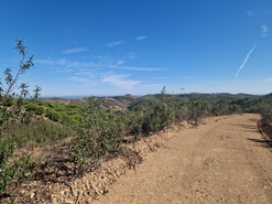 Terreno R�stico - Tavira, Tavira, Faro (Algarve) - Miniatura: 8/9