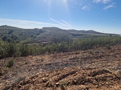 Terreno R�stico - Tavira, Tavira, Faro (Algarve) - Miniatura: 9/9
