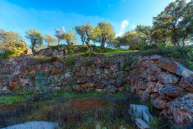 Terreno R�stico - Queren�a, Loul�, Faro (Algarve) - Miniatura: 33/42