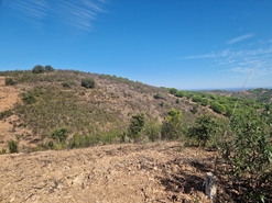 Terreno R�stico - Tavira, Tavira, Faro (Algarve) - Miniatura: 1/9