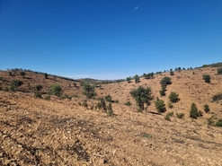 Terreno R�stico - Tavira, Tavira, Faro (Algarve) - Miniatura: 5/9