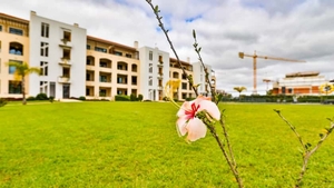 Apartamento T2 - Quarteira, Loul�, Faro (Algarve) - Miniatura: 50/52