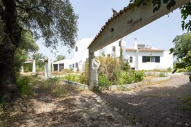 Moradia T3 - Queren�a, Loul�, Faro (Algarve) - Miniatura: 7/50