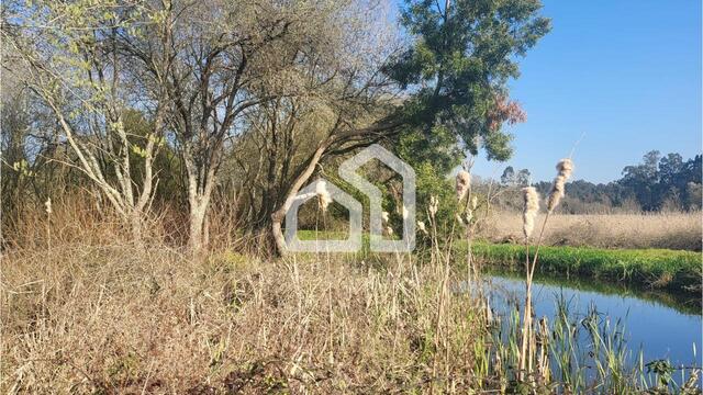 Quinta T2 - Válega, Ovar, Aveiro - Imagem grande