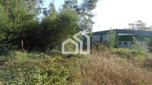 Terreno R�stico - Espargo, Santa Maria da Feira, Aveiro - Miniatura: 1/2