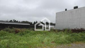 Terreno R�stico - Santa Maria de Lamas, Santa Maria da Feira, Aveiro