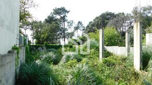 Terreno R�stico - Vila Nova de Gaia, Vila Nova de Gaia, Porto - Miniatura: 1/4