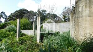 Terreno R�stico - Vila Nova de Gaia, Vila Nova de Gaia, Porto - Miniatura: 2/4