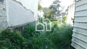 Terreno R�stico - Vila Nova de Gaia, Vila Nova de Gaia, Porto - Miniatura: 3/4