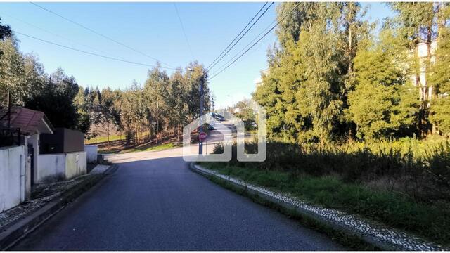 Terreno Rstico - Macieira de Sarnes, Oliveira de Azemis, Aveiro - Imagem grande