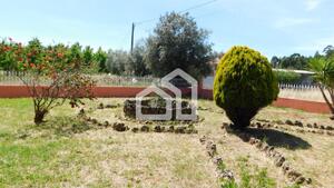 Moradia T4 - So Loureno do Bairro, Anadia, Aveiro - Miniatura: 24/28