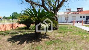 Moradia T4 - So Loureno do Bairro, Anadia, Aveiro - Miniatura: 25/28