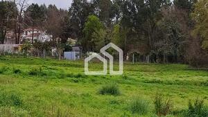 Terreno R�stico - Nogueira da Regedoura, Santa Maria da Feira, Aveiro