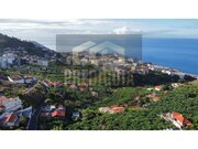 Moradia T4 - So Martinho, Funchal, Ilha da Madeira - Miniatura: 2/2
