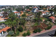 Quinta > T6 - So Roque, Funchal, Ilha da Madeira - Miniatura: 3/9