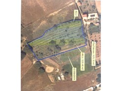 Terreno R�stico - Quinta do Anjo, Palmela, Set�bal