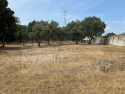 Terreno Rstico - Quinta do Anjo, Palmela, Setbal - Miniatura: 4/7