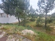 Terreno Urbano - Pinhal Novo, Palmela, Set�bal - Miniatura: 1/9