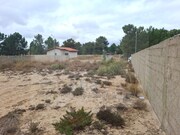 Terreno Urbano - Quinta do Anjo, Palmela, Setbal - Miniatura: 9/9
