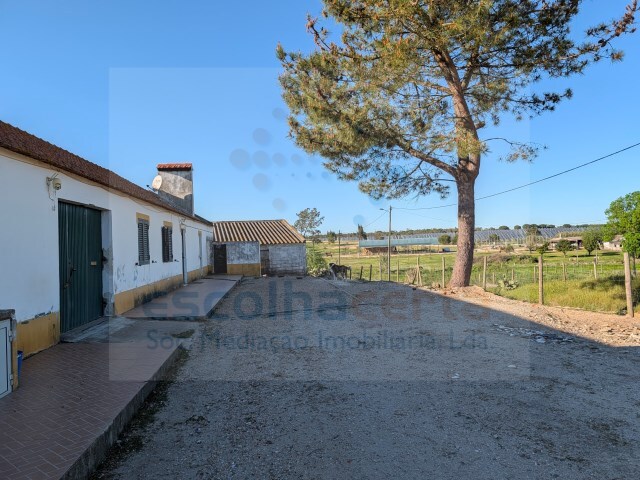 Quinta T4 - Peg�es, Montijo, Set�bal - Imagem grande