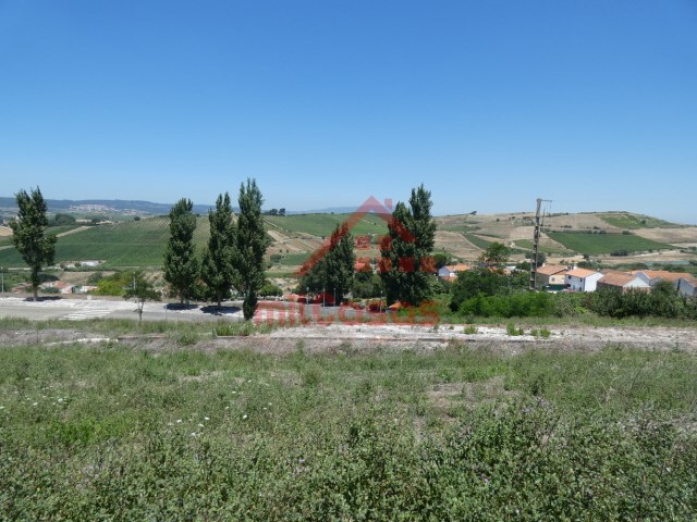 Terreno Rústico - Carvoeira TVD, Torres Vedras, Lisboa - Imagem grande