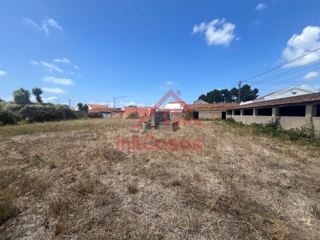 Terreno R�stico - Alfeizer�o, Alcoba�a, Leiria - Imagem grande
