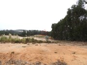 Terreno Industrial - Santa Maria, Torres Vedras, Lisboa - Miniatura: 2/9
