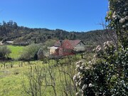 Quinta T2 - T�bua, T�bua, Coimbra - Miniatura: 1/9