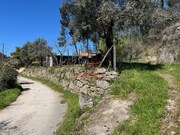 Quinta T2 - T�bua, T�bua, Coimbra - Miniatura: 5/9